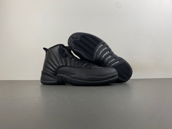 Air Jordan 12 CT8013-010