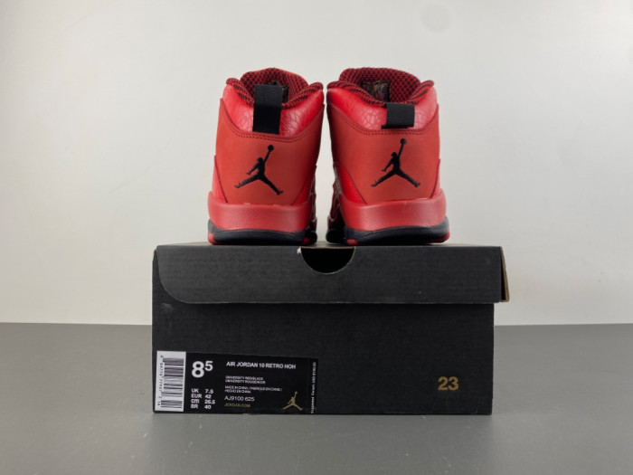 Air Jordan 10 Steve Wiebe HOH AJ9100-625
