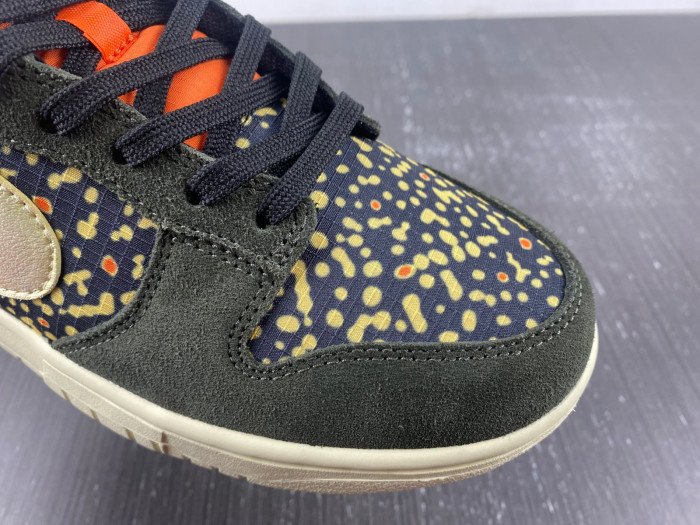 nike dunk low rainbow trout fn7523-300