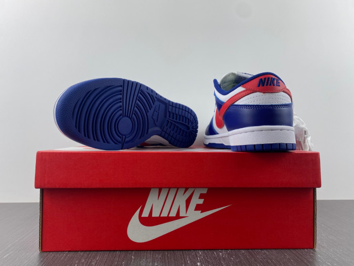 nike dunk low "usa" dd1503-119