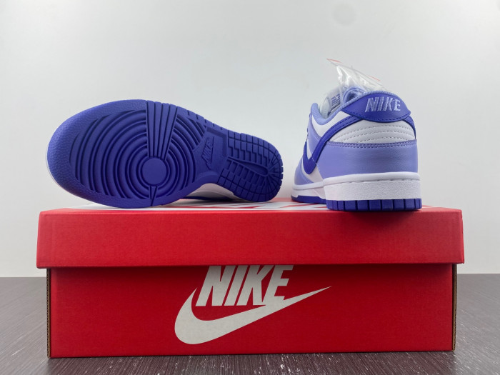 nike dunk low gs "blueberry" dz4456-100