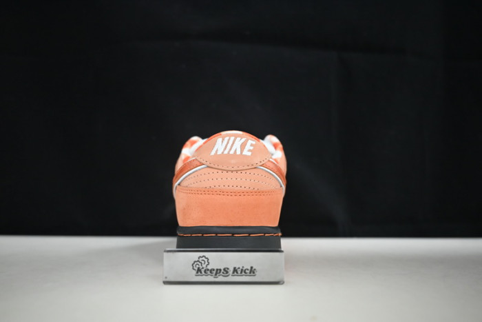 concepts x dunk low sb 